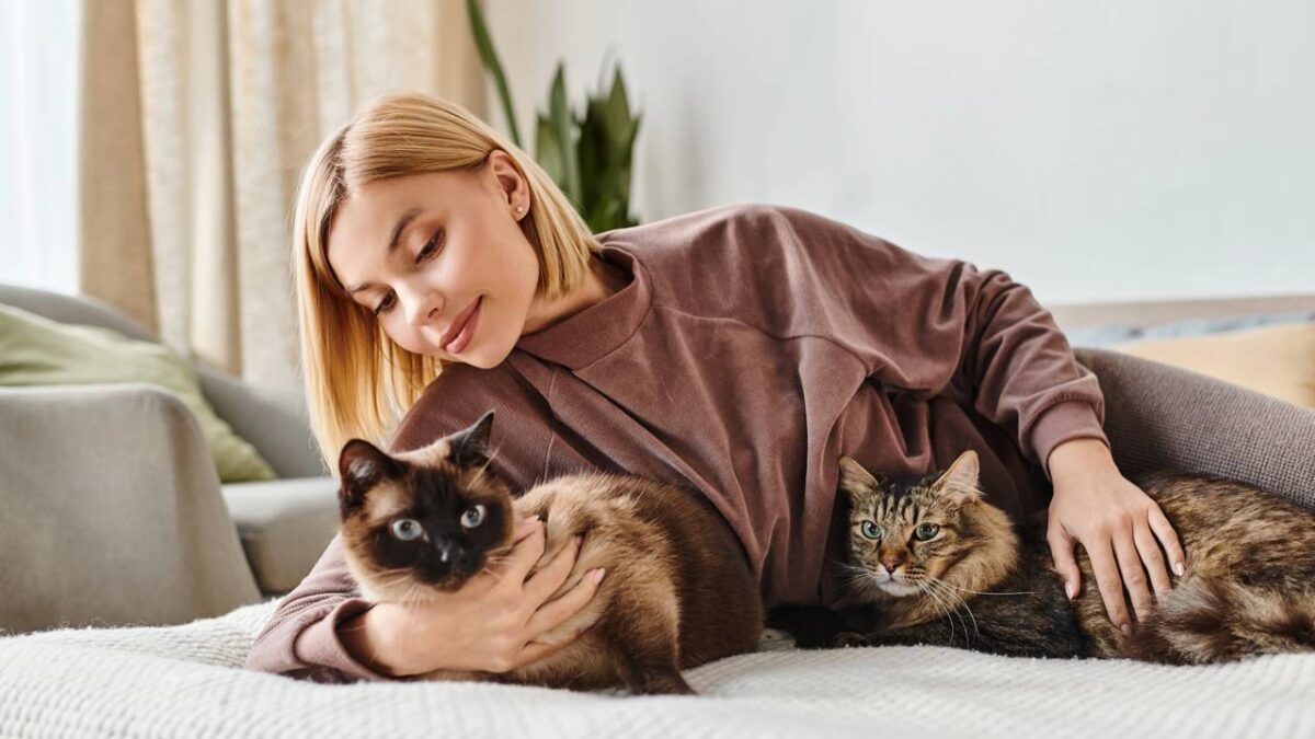 Benefícios de conviver com gatos, segundo a psicologia - Imagem do artigo
