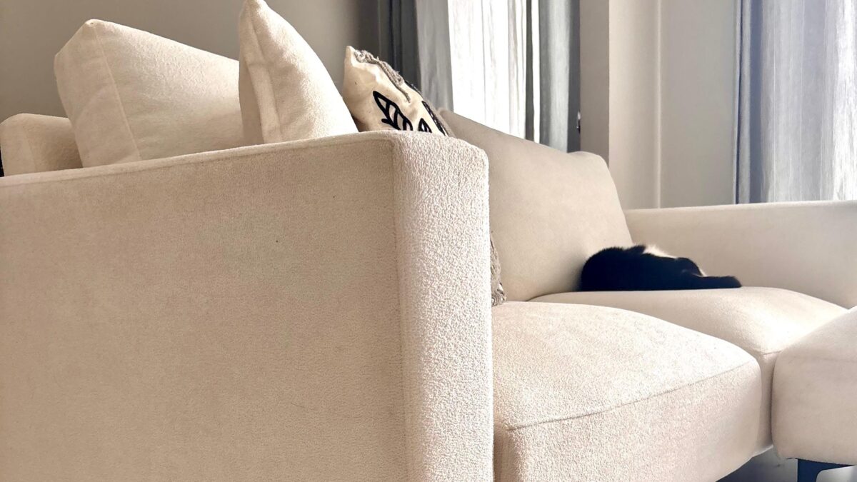 O Tecido que Está Virando o Queridinho das Casas com Gatos - Imagem do artigo