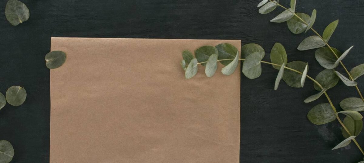 Banheiro Spa natalino: truque com laquê impede mofo e valoriza plantas secas na decoração - Imagem do artigo original