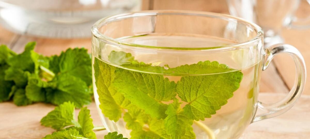 Erva-cidreira: o chá caseiro que faz a mente brilhar e o sono chegar rapidinho - Imagem do artigo original